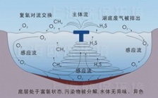 水中溶解氧測(cè)定原理