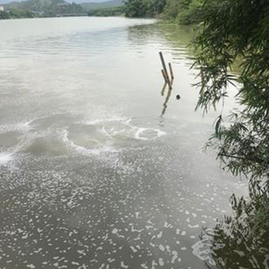 為什么企業污水在線監控要測COD和氨氮