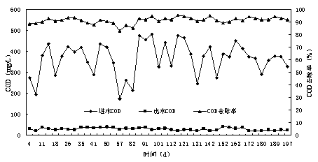 什么是COD指標(biāo)及其重要性