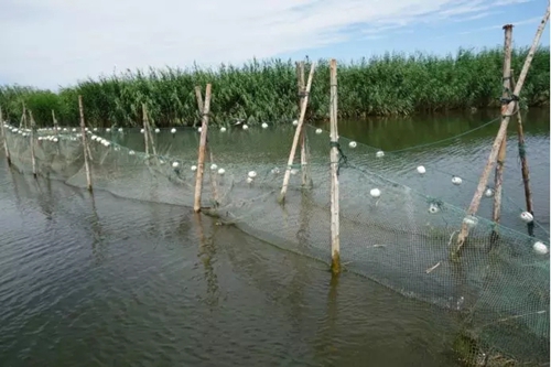 烏梁素海生態(tài)環(huán)境形勢(shì)仍不樂觀 綜合治理規(guī)劃不嚴(yán)不實(shí)