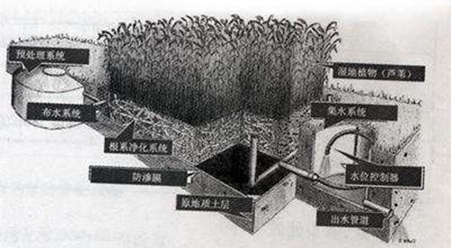 人工濕地生活污水處理技術分析