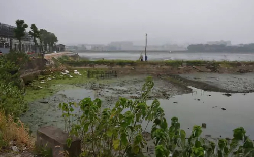 長沙市后湖：徹底消除黑臭，實現“長治久清”