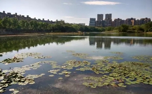 合肥市大蜀山森林公園南湖